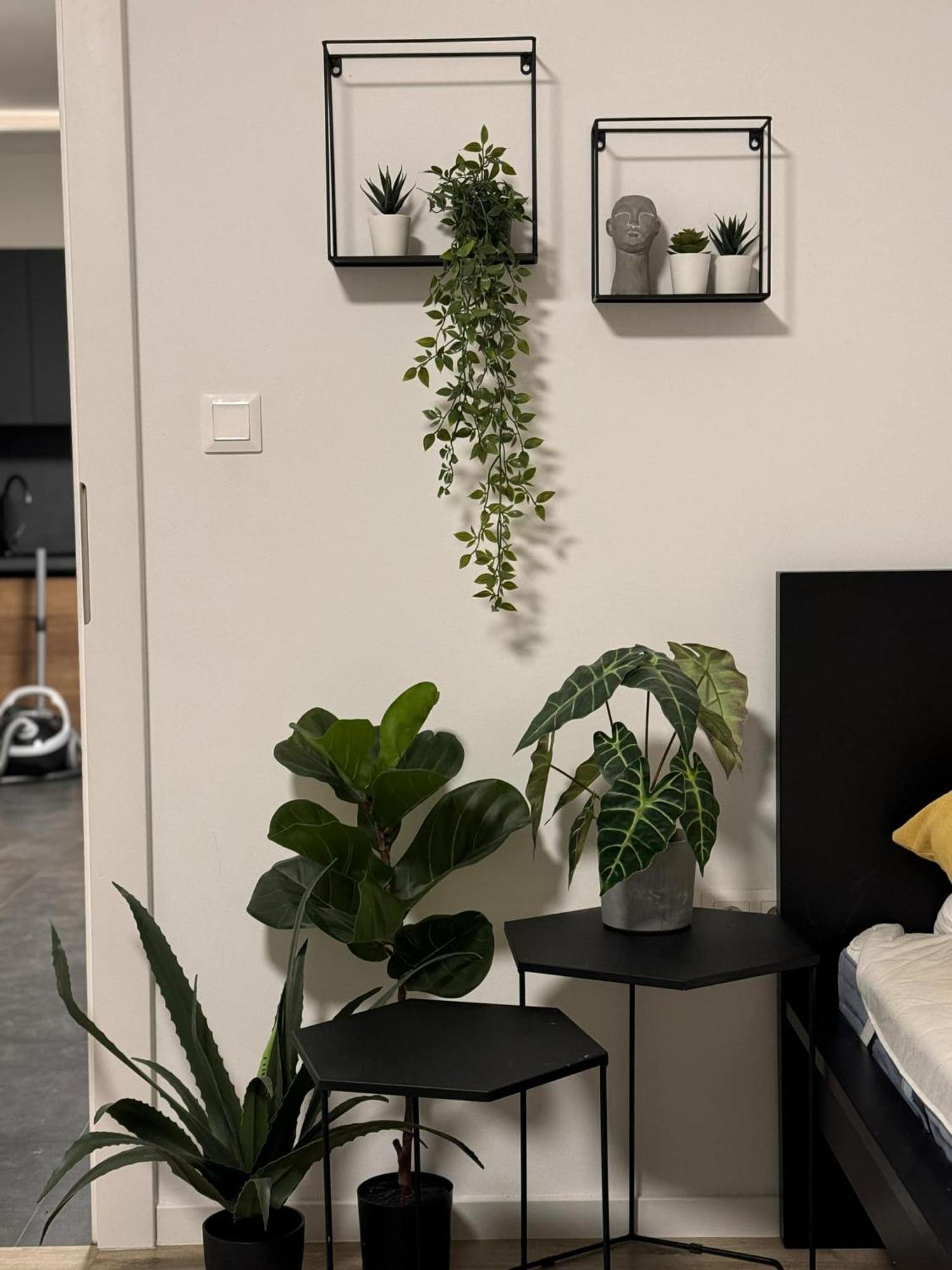 Apartmany Elli Mýto pod Ďumbierom Екстериор снимка
