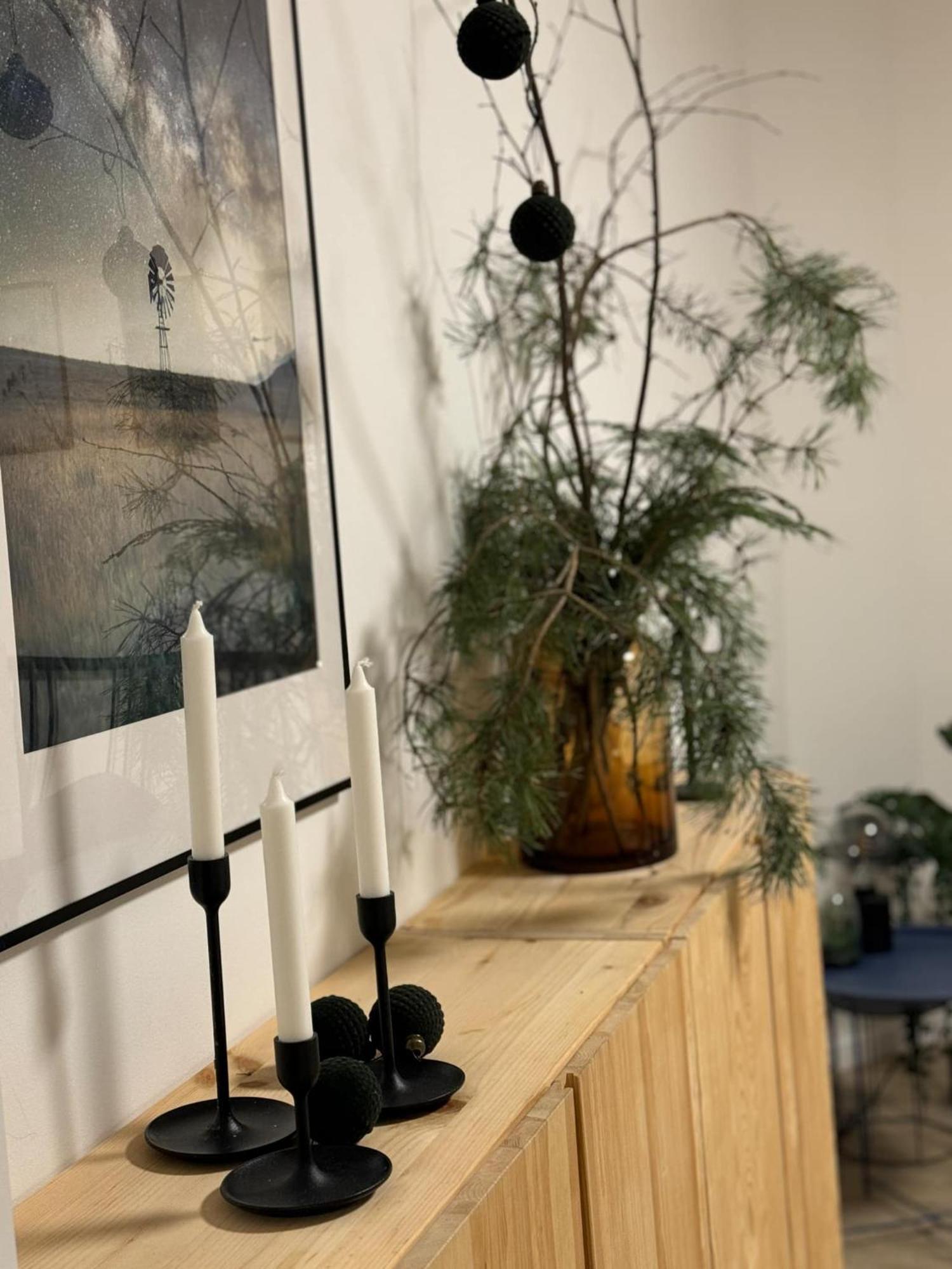 Apartmany Elli Mýto pod Ďumbierom Екстериор снимка